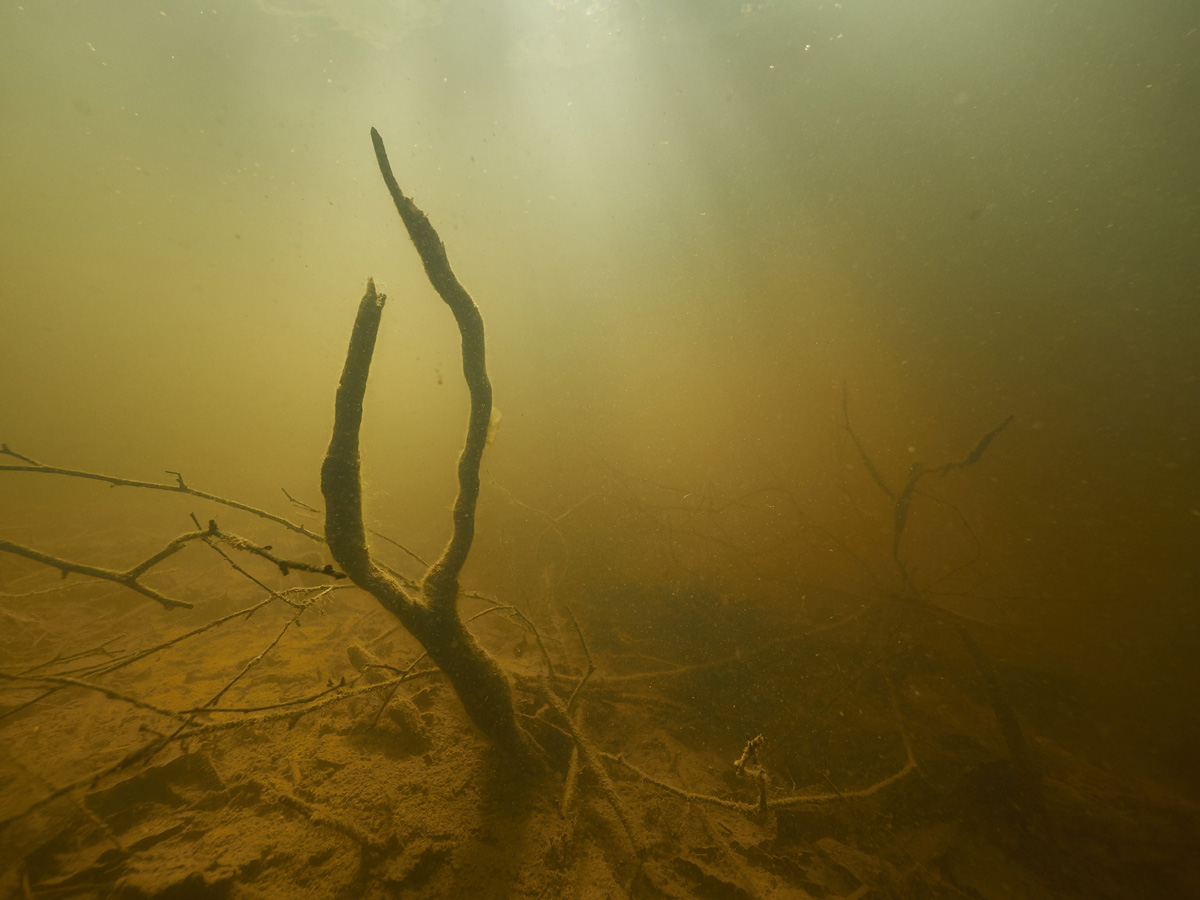 05 Vlčí jezero